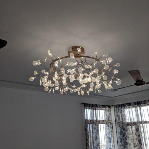 WhatsApp Image 2024-07-17 at 11.15.52 AM (1)