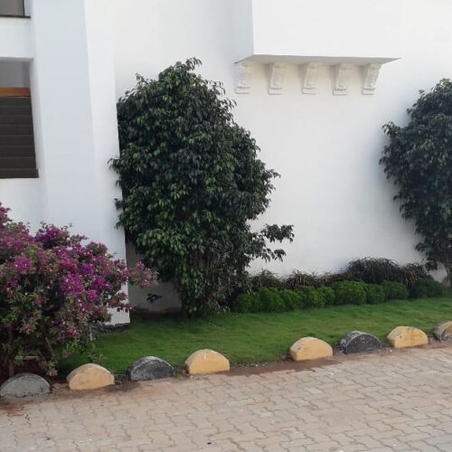 WhatsApp Image 2024-07-17 at 11.15.52 AM